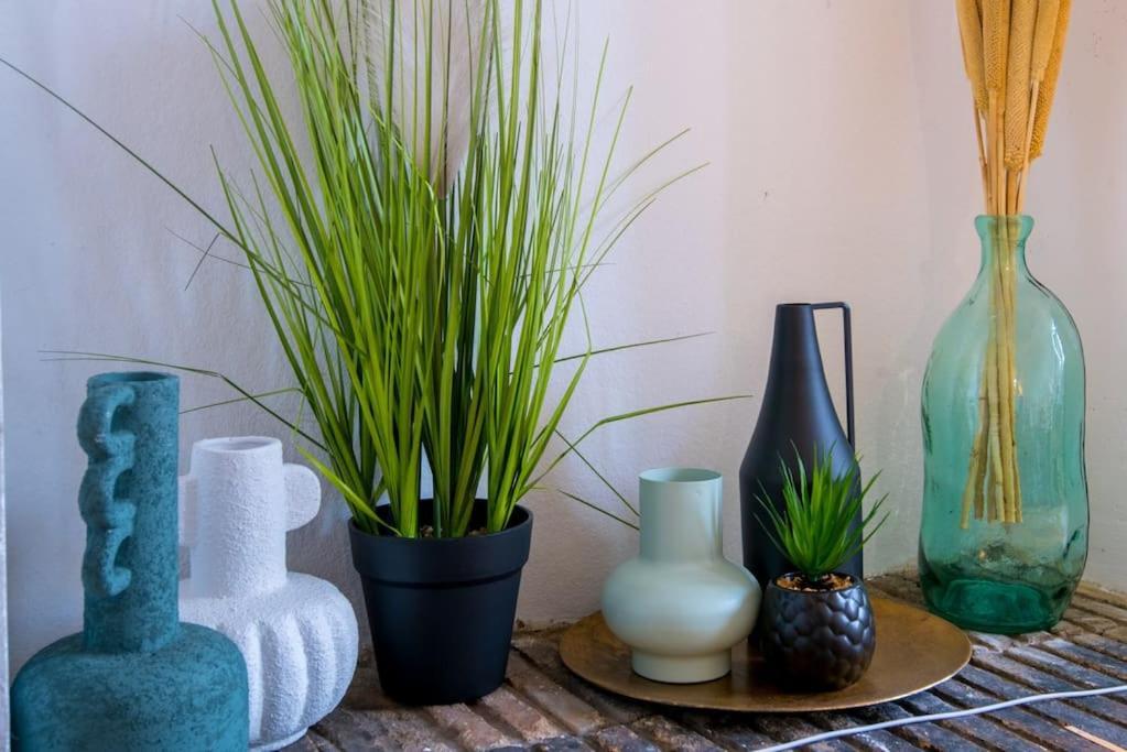 Appartement Le Botanica à Angers Extérieur photo